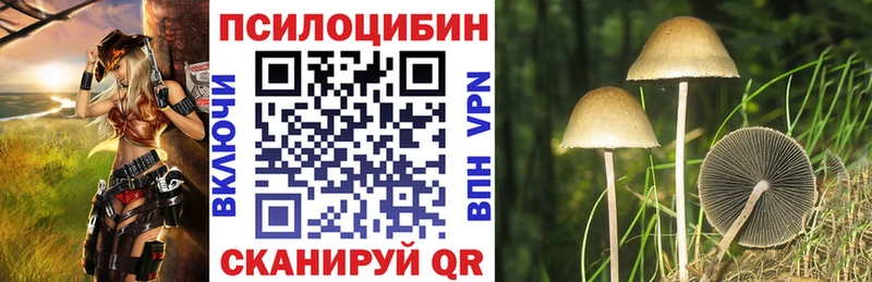 Псилоцибиновые грибы GOLDEN TEACHER  Купить где  Переславль-Залесский 